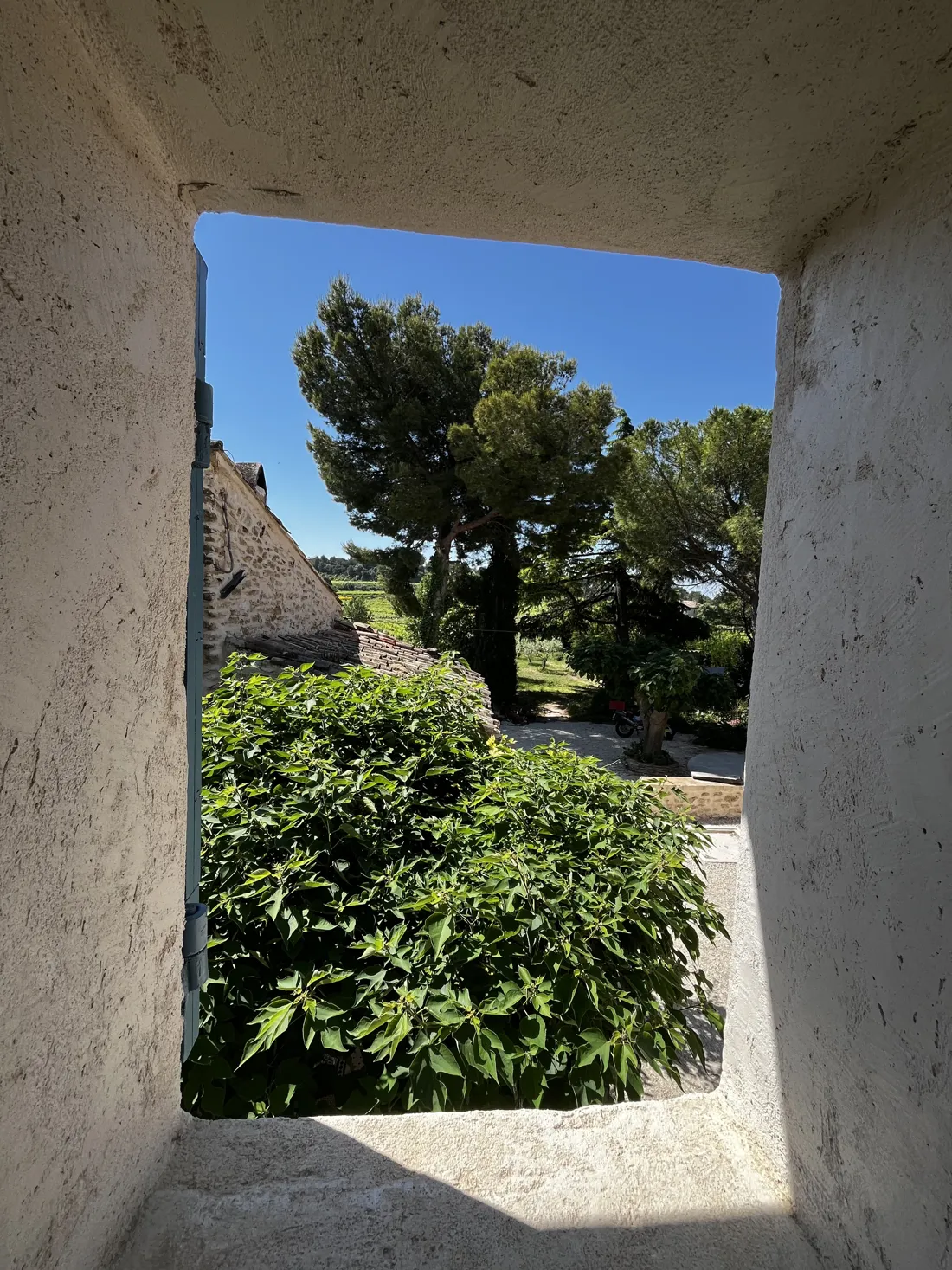 Fenêtre dans un mur épais ouvrant sur les pins et le jardin du mas